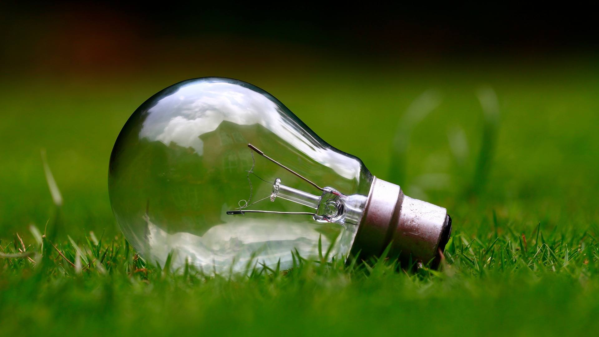 Lightbulb on grass